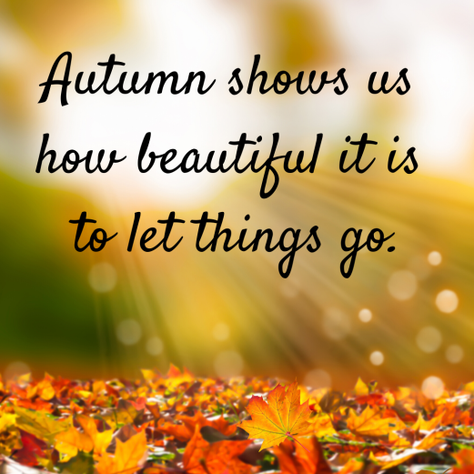 Autumn shows us how beautiful it is to let things go.